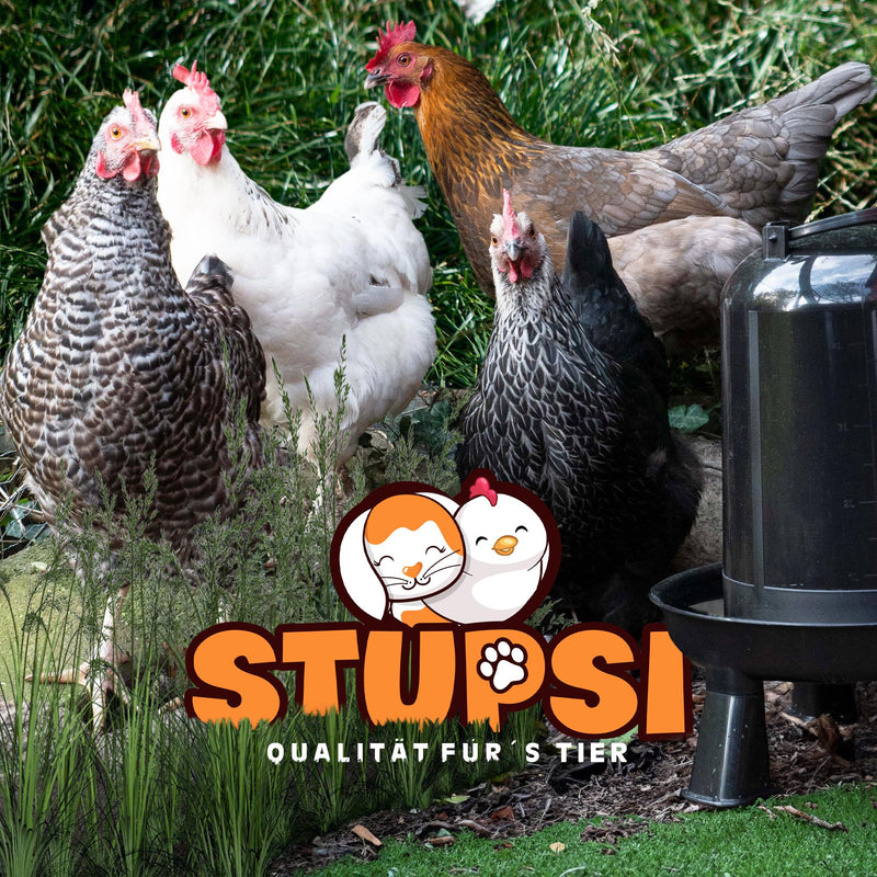 STUPSI chicken drinker 100% recycled 3 liters in black | Heated & frost-proof poultry drinkers | Waterer with feet or hanging for quails, chickens and any other poultry | Made in Europe 3L - PawsPlanet Australia