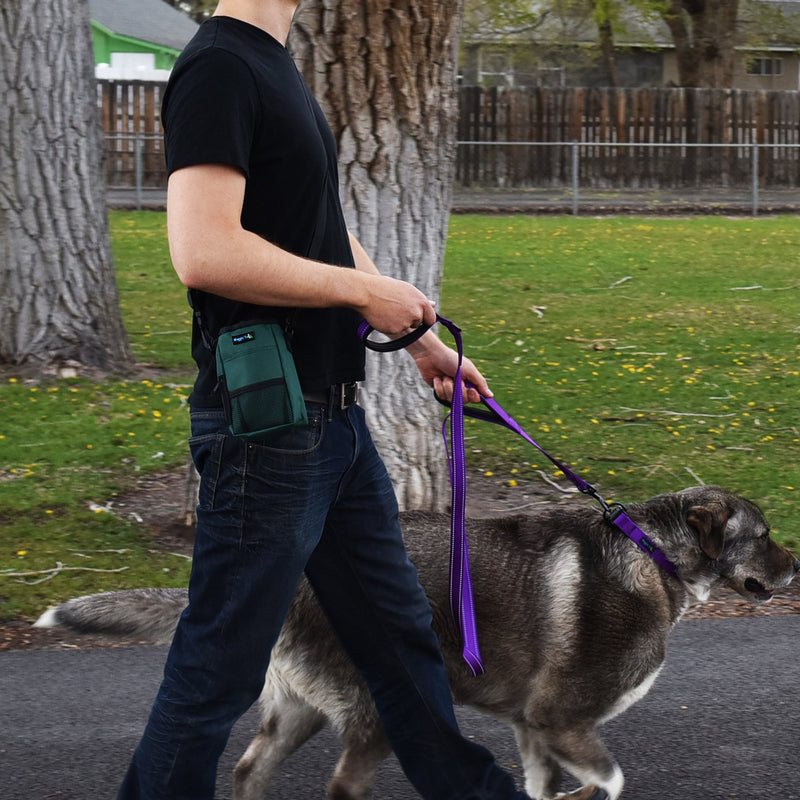 [Australia] - Smart Dog Treat Pouch Bag for Dog Training - Easy Access to Treats & Training Accessories Includes Free Roll of Waste Bags- Earth Green by Wagtime Club 