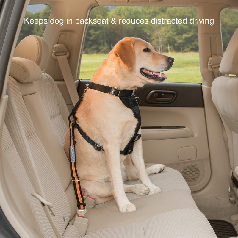 Kurgo Car Seat Belt for Pets, Adjustable Dog Safety Belt Leash, Quick and Easy Installation, Works with Any Pet Harness, Direct to Seatbelt Style with Carabineer Clip, Black/Orange Carabiner Clip - PawsPlanet Australia