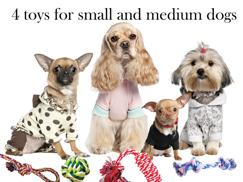 [Australia] - MIWIND– Puppy Dog Pet Cotton Rope Chew Teeth Cleanning Toys For Small to Medium Dogs best puppy toys(Set of 4) 4 toys 