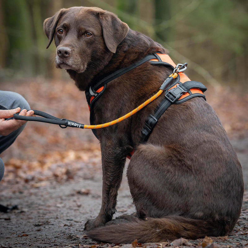 Floxik short lead orange for dogs ⌀ 8mm | reflective short leash made of climbing rope material | ideal for leash training and free running training - PawsPlanet Australia