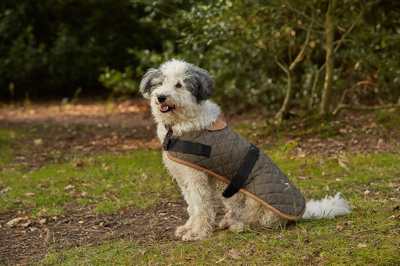Gor Pets Outdoor Worcester Coat, 14-Inch, Brown - PawsPlanet Australia