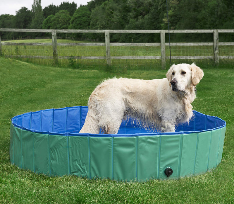 Pet Mania - XL Green Foldable Pet Swimming Paddling Pool for Dogs - 160x30cm - PawsPlanet Australia