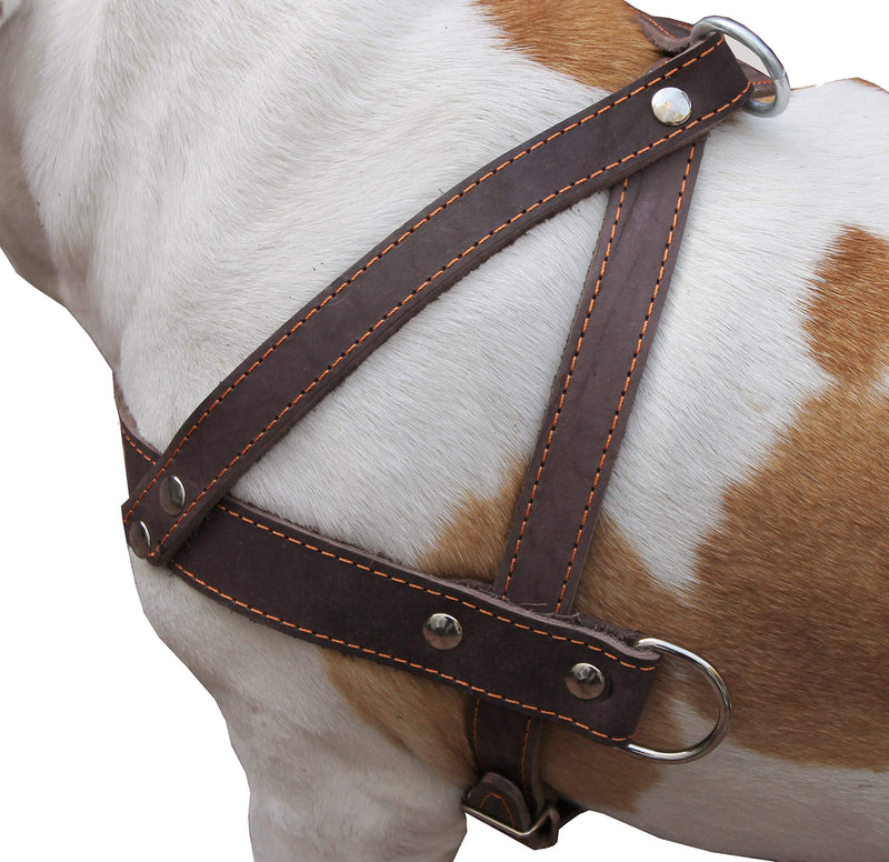 [Australia] - Brown Leather Dog Pulling Walking Harness Large. 31"-35" Chest, 1.5" Wide Straps 