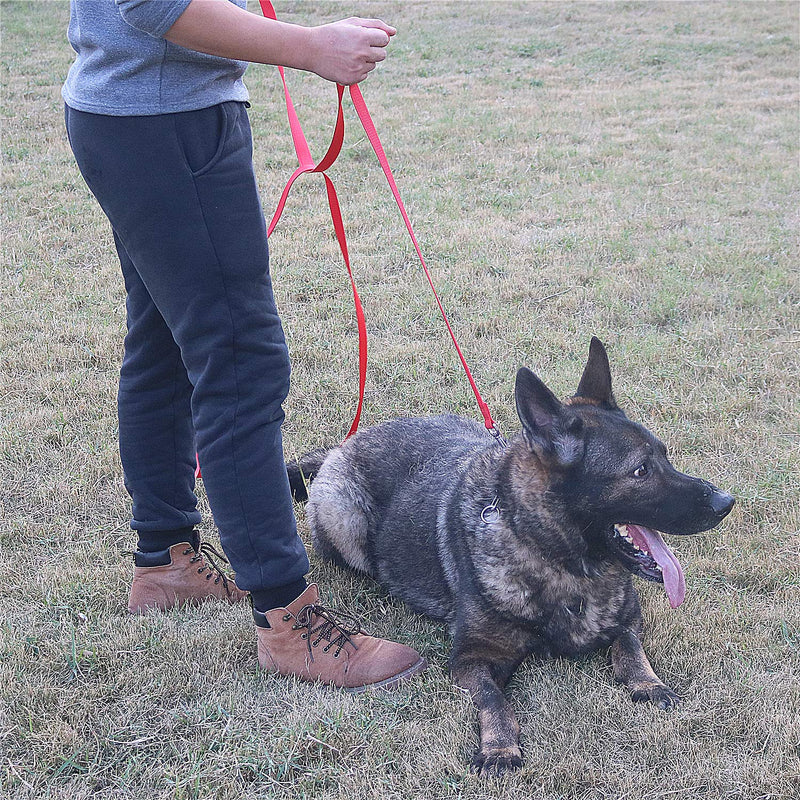 Siumouhoi Dog/Puppy Obedience Recall Training Agility Lead-15 ft 20 ft 30 ft 40 ft 50 ft Long Leash -for Training Leash, Play, Safety, Camping,or Backyard 15 Feet Black - PawsPlanet Australia