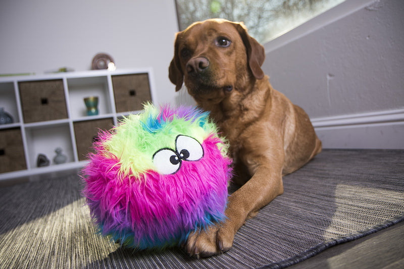 [Australia] - goDog Plush Dog Toy Large Rainbow 