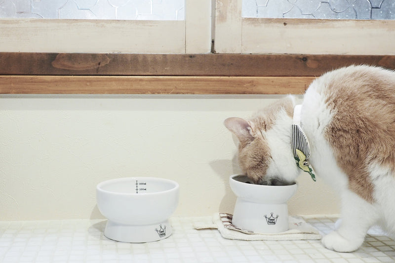 [Australia] - Necoichi Raised Cat Food and Water Bowl Set (Cat) 