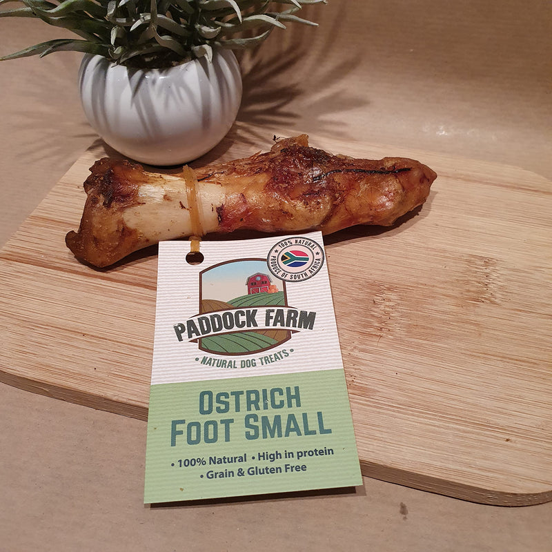 Ostrich Foot (Small or Large) 100% Ostrich, Natural/Raw Feeding, Hypoallergenic, Safer Bone (Small) Small - PawsPlanet Australia