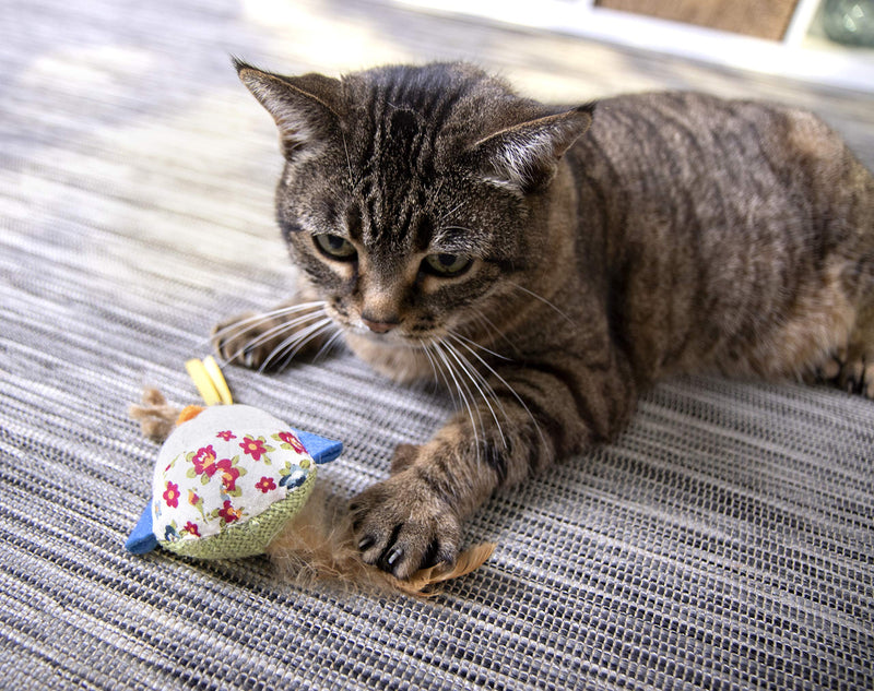 [Australia] - Petlinks System Sweet Tweet Cat Toy Medium 