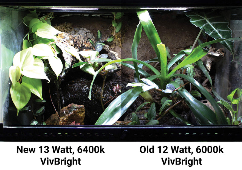 [Australia] - Pangea Vivbright Max Plant Growth Reptile & Amphibian LED Bulb 