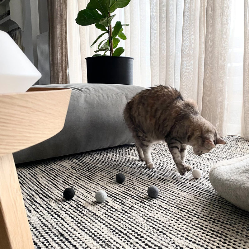 LucyBalu® felt balls for cats I cat toys I cat balls made of felt | Cat toys made from 100% wool I natural toys for cats | Play balls for cats fair from Nepal | 6 pieces | Gray - PawsPlanet Australia