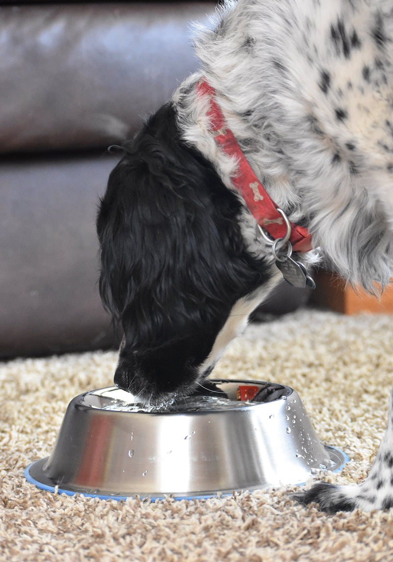 [Australia] - OurPets DuraPet Premium No-Tip Stainless Steel Pet Bowls Large 