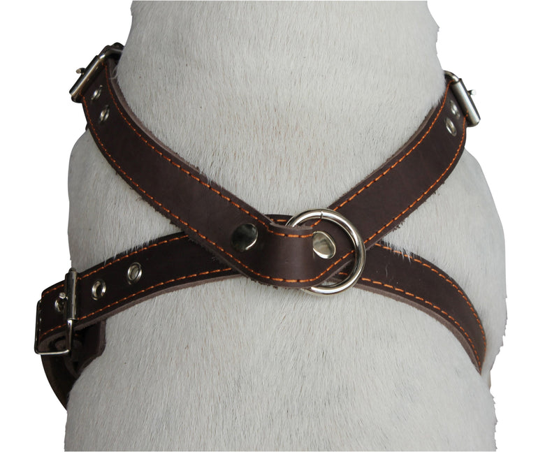 [Australia] - Brown Genuine Leather Dog Harness, Medium. 25"-30" Chest, 1" Wide Adjustable Straps 