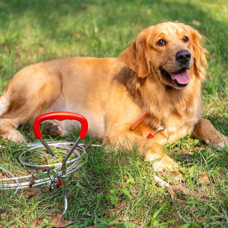 ADCSUITZ Dog Tie Out Cable Stake - 30 FT Rope Escape Proof Reflective Leash Heavy Duty Antirust Safety Swivel Clasp Easy Control For SML Dogs Play/Training In The Yard/Camping/Garden,Traveling Outdoor - PawsPlanet Australia