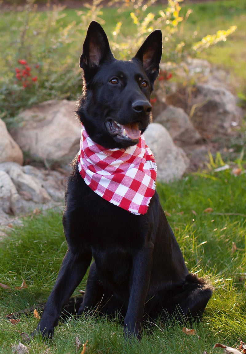 [Australia] - Willowear Dog Bandana Red and White Flannel Buffalo Plaid with Frayed Edge Medium Love 