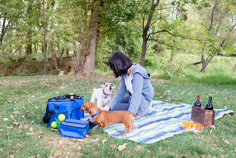 [Australia] - Armarkat Model CL101B Dog Travel Bag with Food Carriers 