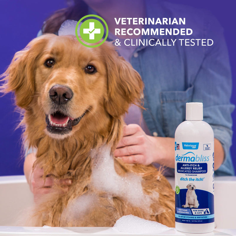 Vetnique Labs Dermabliss Anti Itch & Allergy Relief Medicated Dog Shampoo for Allergies and Itching with 1% Pramoxine HCL, Safflower Seed Oil, and Oat Extract for Dogs and Cats 16oz … - PawsPlanet Australia