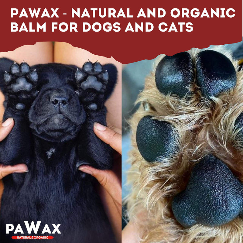 Bruno May PAW Wax Natural and Organic Protect and Heal 3-in-1 for Dogs and Cats PET Balm Veterinary Approved with Carnauba Wax, Vitamin E, Aloe 2 oz - PawsPlanet Australia