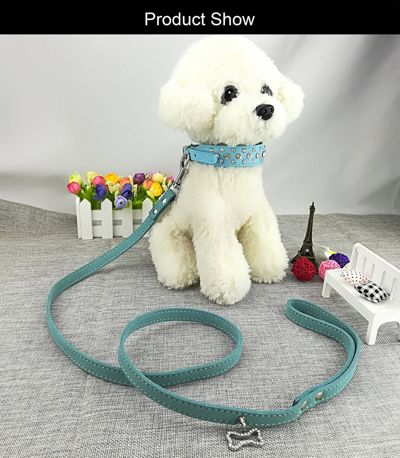 Newtensina Fashion Dog Collar and Lead Set Bling Puppies Collar Cute Diamante Dog Collar with Leashes - Blue - XXS - PawsPlanet Australia