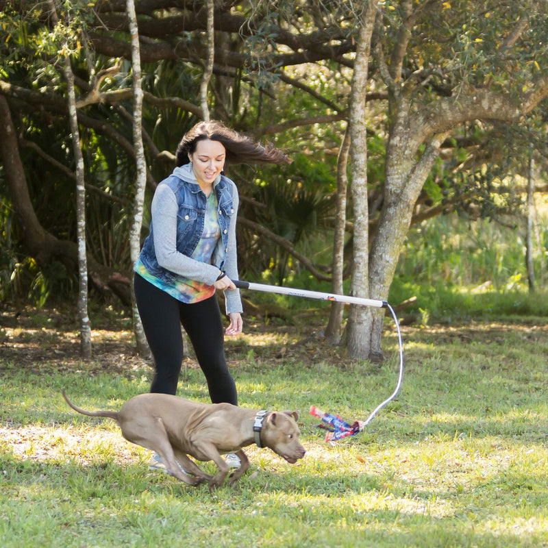 Squishy Face Studio Flirt Pole V2 with Lure - Durable Dog Toy for Fun Obedience Training & Exercise, Rainbow Tie Dye, Regular - 36 inch - PawsPlanet Australia