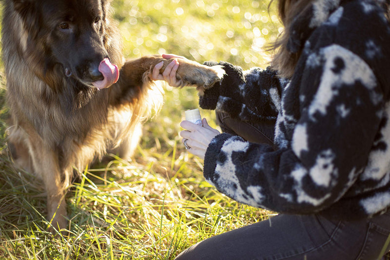 All Natural Shea Butter Balm for Dogs Treats Dry, Cracked, and Chapped Skin, Nose, and Paws. Coats, Soothes, and Heals Damaged Snouts and Pads. Mess Free and Easy to Use Application. - PawsPlanet Australia