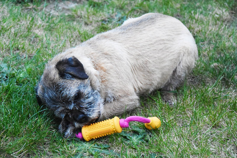 Rosewood Rubber, Tough Chew Resistant, Dental Roller with Rope Dog Toy, Assorted Colours - PawsPlanet Australia