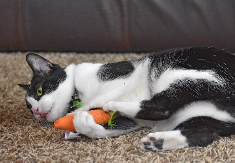 OurPets 100% North American Catnip Filled Cat Toys (Interactive Cat Toys for Indoor Cats, Kitten Toy, Cat Chew Toy & Catnip Toys for Cats) Great for Cats who enjoy Catnip & Interactive Cat Toys 24 Karat - PawsPlanet Australia