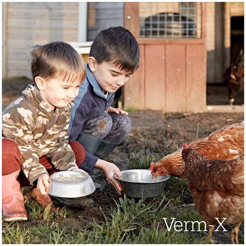 Verm-X 100% Natural Liquid for Poultry. Supports Intestinal Hygiene. Vet Approved. UFAS Assured. Contains Prebiotic for Gut Biome. Restores and Maintains Gut Vitality. Wormwood Free - 250ml Clear 250 ml - PawsPlanet Australia