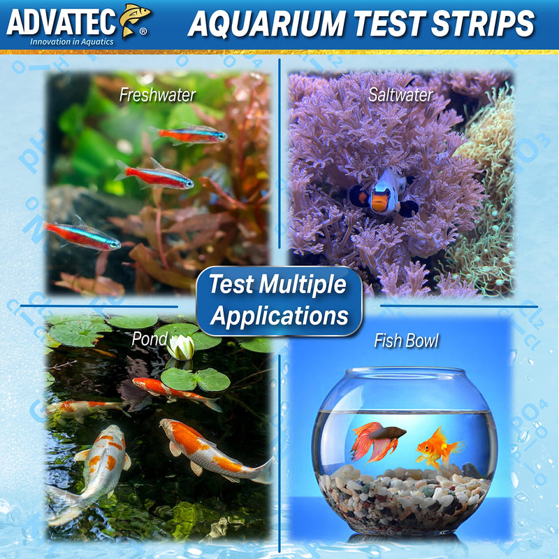 Phosphate Aquarium Test Strips - for Fresh/Salt Water Aquariums, Lab Grade, for Professional Or Home Use - Fast & Accurate Results! (100 Count) 100 Count - PawsPlanet Australia