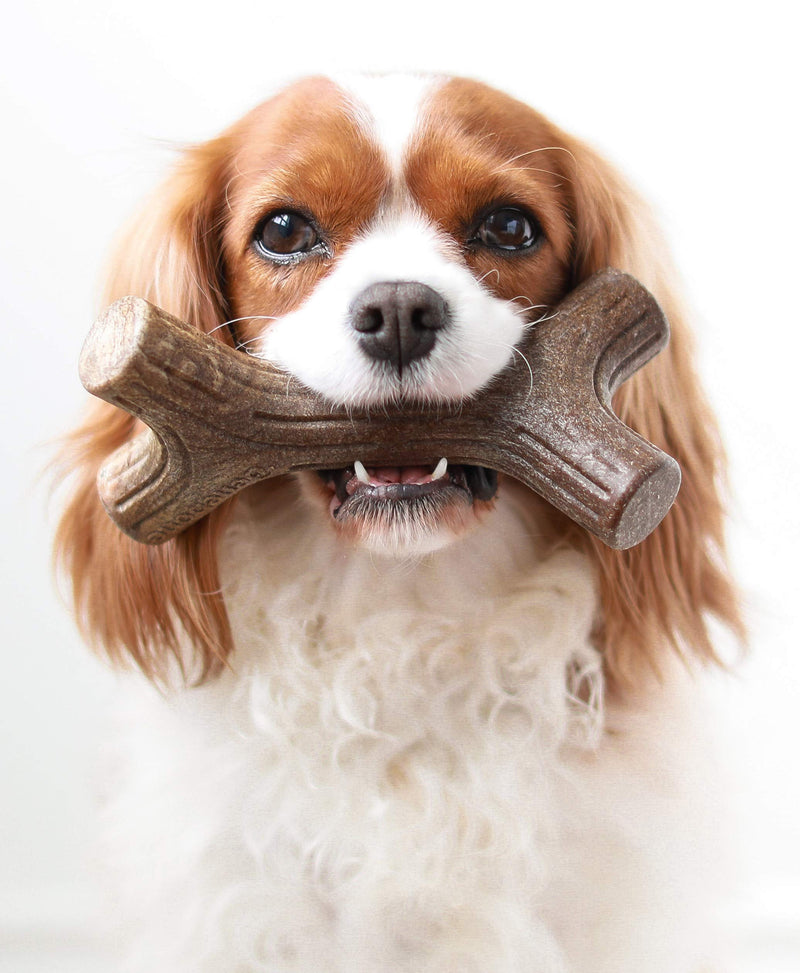[Australia] - Benebone Maplestick/Bacon Stick Durable Dog Chew Toy for Aggressive Chewers, Made in USA REAL Maple Wood Medium 