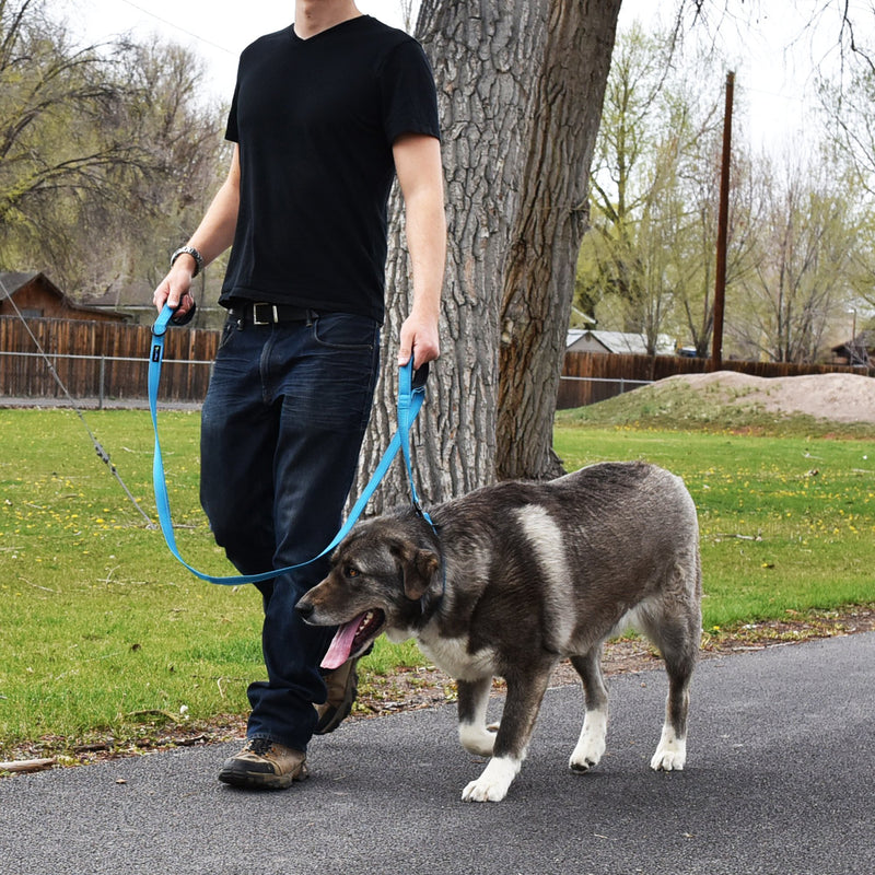 [Australia] - Wagtime Club Soft and Thick Double Handle Premium Nylon 4FT x 3/4 in Leash - Dual Neoprene Padded Handles for Ultimate Comfort and Control - for Medium to Large Dogs- Vibrant Colors Bright Blue 