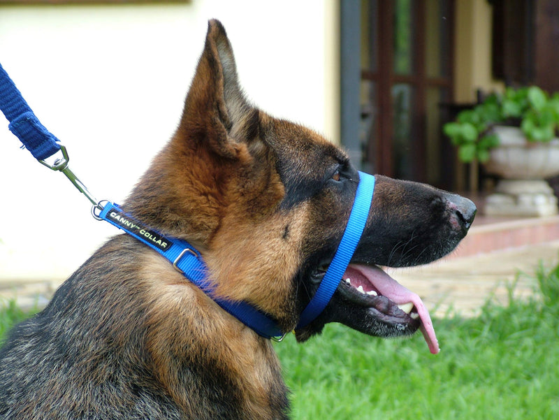 Canny Collar - The Collar for Dog Training and Walking, Helps with Dog Training and Helps to Stop Dogs Pulling on The Leash Size 4 - (15 Inch - 17 Inch neck size) Blue - PawsPlanet Australia