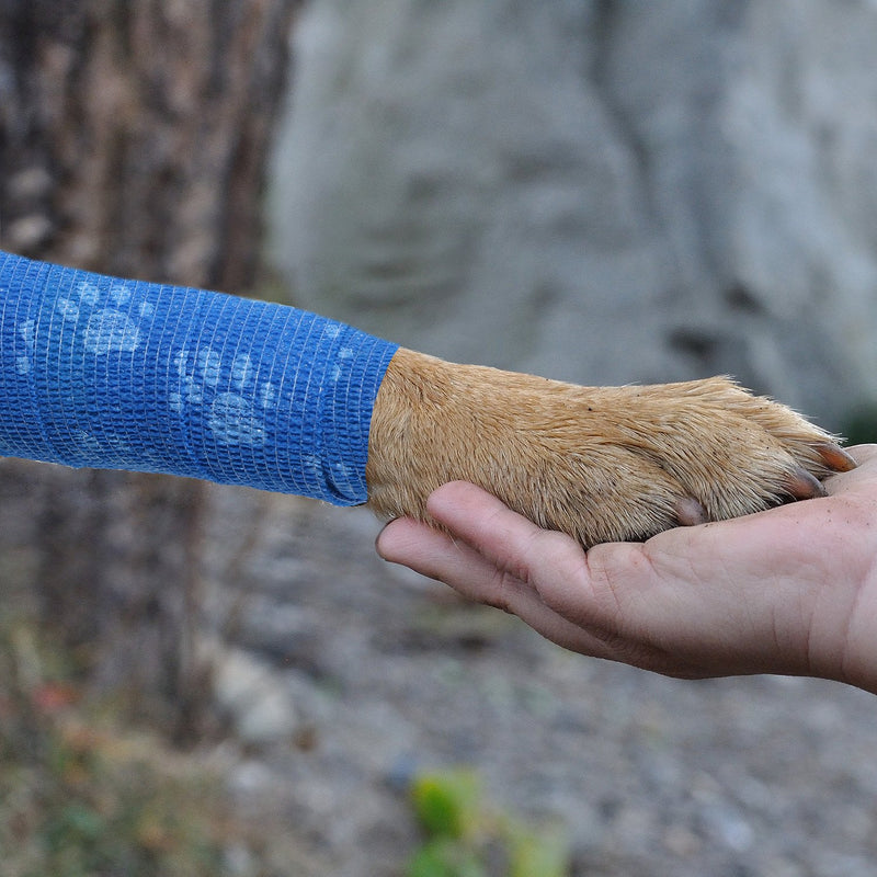 HOSUKKO 4Pcs Pet Bandage Cohesive Bandage Self Adhering Stick Bandage, Multi-Function Non-Woven Fabric Elasticity Gauze Rolls Self Adhering Stick Bandage Wrap Vet Tape for Pet Animals blue and white - PawsPlanet Australia