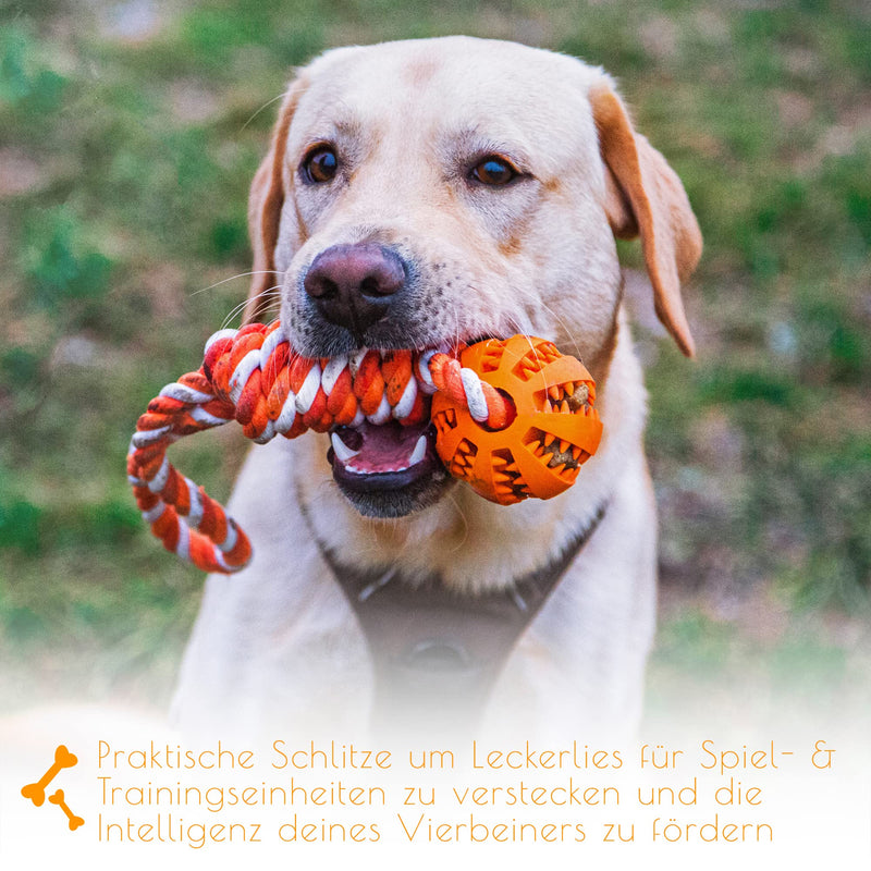 PAWDY dog rope with ball for fun and dental care - Robust dog toy for medium & large dogs - Chew toy with nubs made of natural rubber - Ball rope throwing toy for dogs (orange) Orange - PawsPlanet Australia