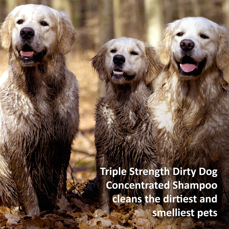 [Australia] - Veterinary Formula Solutions Triple Strength Dirty Dog Concentrated Shampoo – DirtRepel Technology Cleans Extra Dirty and Smelly Dogs – With Wheat Protein, Shea Butter, Aloe, Vitamin E (17oz) 