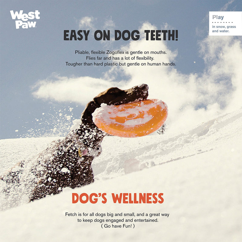 West Paw Zogoflex Zisc Dog Frisbee, High Flying Aerodynamic Disc for Dogs Puppy – Lightweight, Floatable Dog Frisbees for Fetch, Tug of War, Catch, Play – Doubles as Food/Water Bowl, Made in USA Small Aqua Blue - PawsPlanet Australia