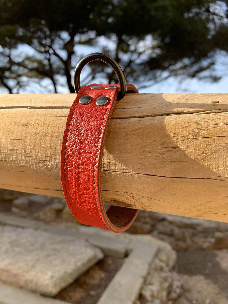 AVANZONA Leather Dog Collar Genuine, Combined with 2 colours, Smooth as Silk but Ultra Resistant and Lightweight, Hand Made for Small, Medium and Large Dogs. S. RED&BROWN - PawsPlanet Australia