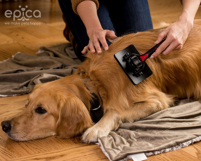 [Australia] - Dog Self-Cleaning Slicker Brush -Painless Cleaning & Grooming, Instant Cleanup. Love It Or Your! Wet Or Dry, Powerful But Gentle Stainless Steel Bristles, 100% Safe For Your Pet, Keeps Furniture & Clothes Clean, Reduce Shedding –Epica 