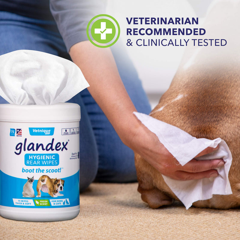 glandex Dog Wipes for Pets Cleansing & Deodorizing Anal Gland Hygienic Wipes for Dogs & Cats with Vitamin E, Skin Conditioners and Aloe - by Vetnique Labs (100ct Pouch) - PawsPlanet Australia