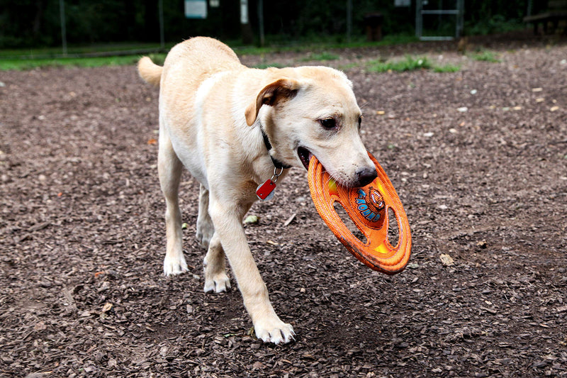 Hartz Tuff Stuff Toss Around Plush Frisbee Flyer Dog Toy - Medium/Large - PawsPlanet Australia