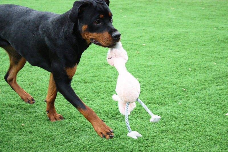 "Mad About Pets" Bird Brain Flamingo Dog Toy - PawsPlanet Australia