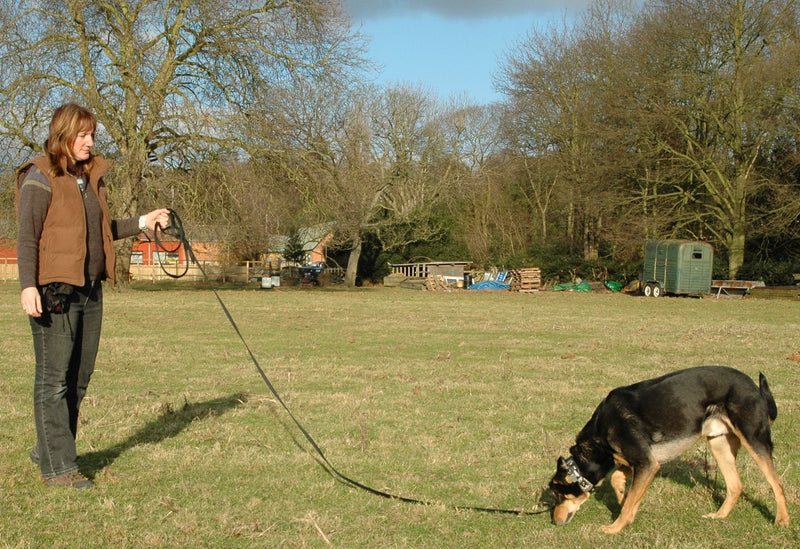 COMPANY OF ANIMALS Recall Line 5m, Best Dog Training Equipment, Soft to hold, Perfect for Recall Training, Chasing, Dog & Puppy Training & Socialisation, Suitable for Small, Medium & Large Dogs - PawsPlanet Australia