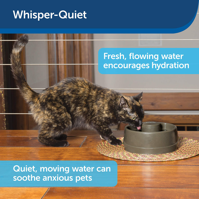 [Australia] - PetSafe Current Dog and Cat Water Fountain, Circulating Pet Drinking Fountain, Small to Large Breeds Forest 