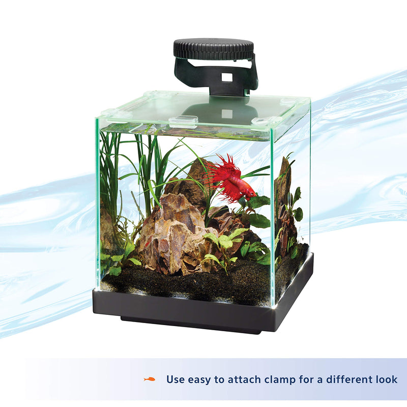 Aqueon Betta LED Light - PawsPlanet Australia