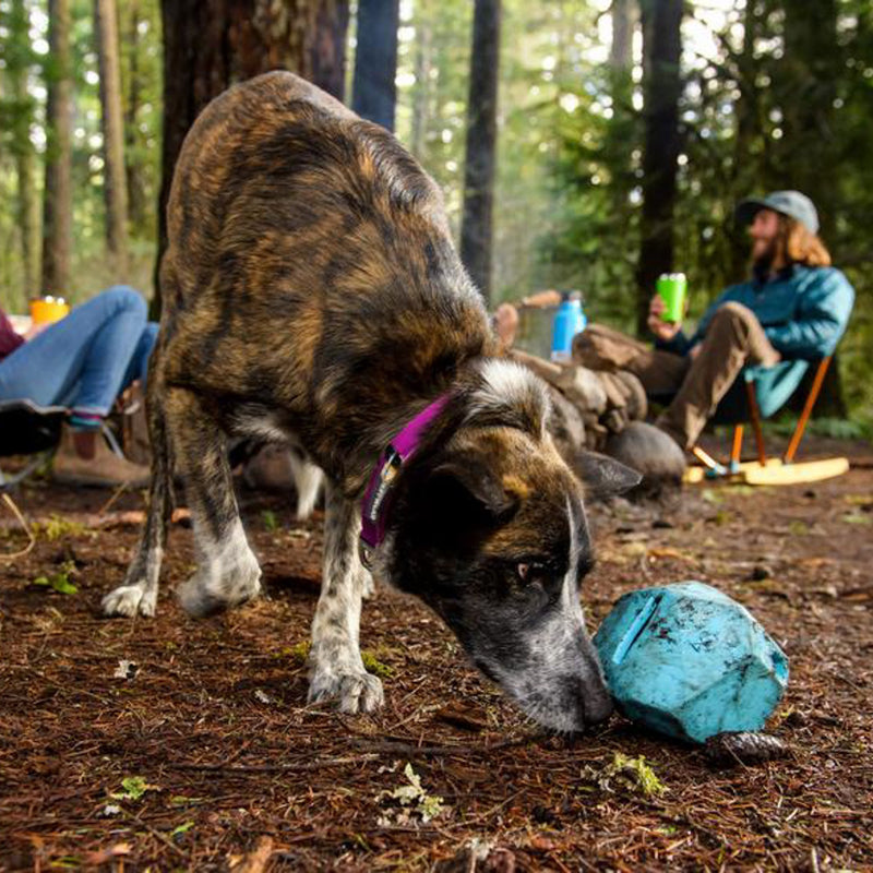 [Australia] - RUFFWEAR - Gnawt-a-Rock Durable Dog Toy Metolius Blue 