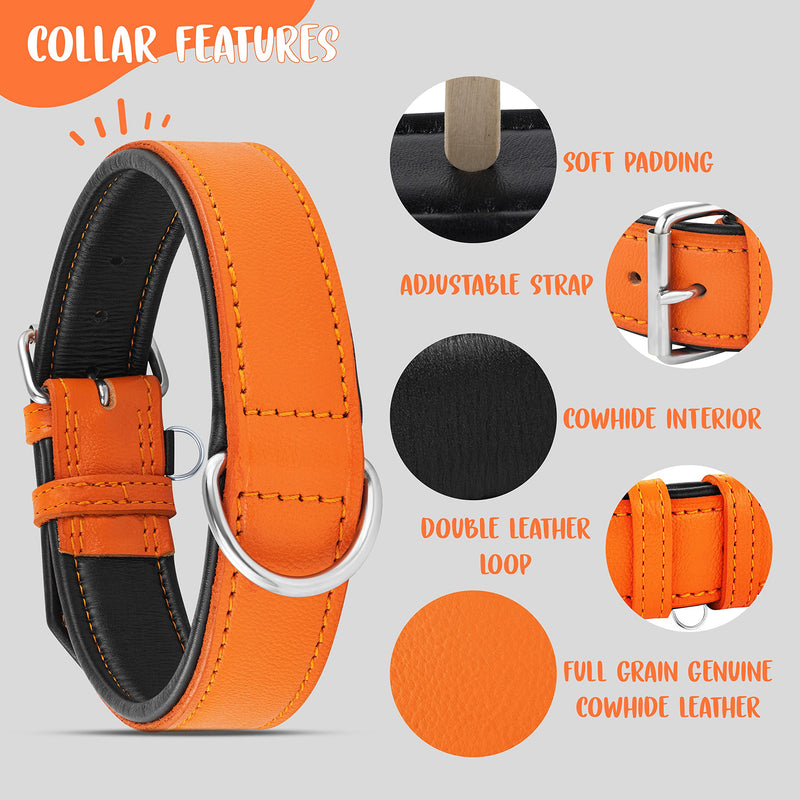 Riparo Genuine Leather Adjustable K-9 Dog Collar with Additional Reinforcement (XXL: 5CM Wide for 60.9CM - 73.7CM Neck, Orange) XXL - PawsPlanet Australia