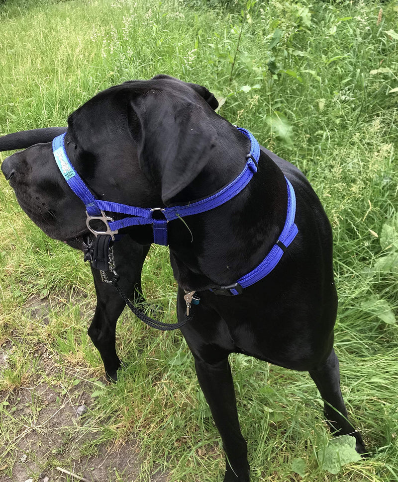 Big Dog Styles Head Collar (2, Black) 2 - PawsPlanet Australia