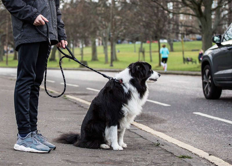 Sweetie Rope Dog Lead - Strong Leash Black with 2 Comfortable Padded Handles 5 FT for Medium & Large Size Pets - Reflective, Weather Resistant & O-Ring Dual Handle Black - PawsPlanet Australia