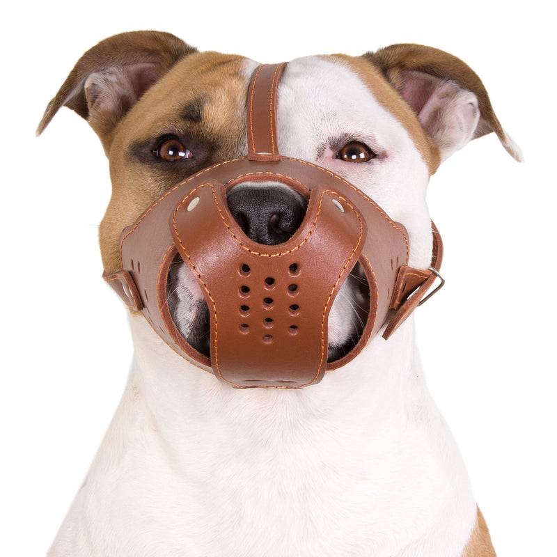 CollarDirect Dog Muzzle Pitbull Amstaff Basket Genuine Leather Staffordshire Terrier Black - PawsPlanet Australia