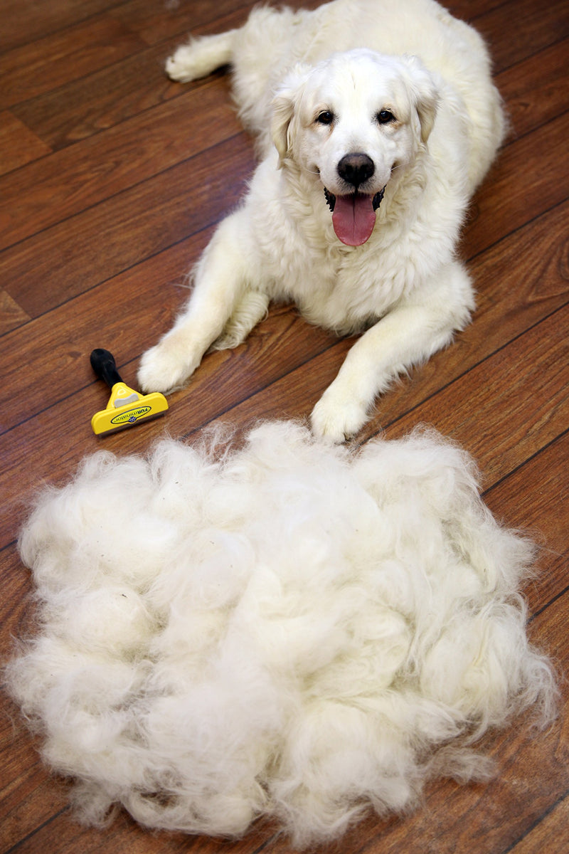 Furminator De-Shedding Tool for Large Dogs Long Hair - PawsPlanet Australia